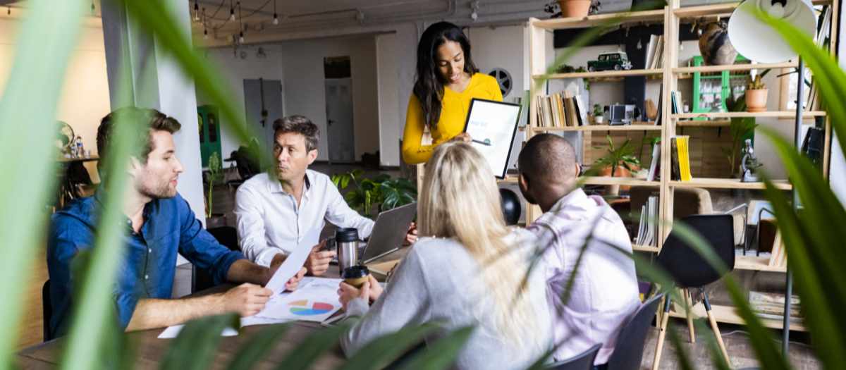 startup investment program